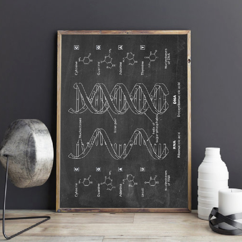 Star Map Poster - DNA Bằng Sáng Chế Tường Nghệ