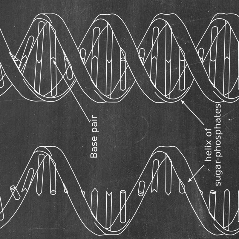 DNA Bằng Sáng Chế Tường Nghệ T - đánh giá và giá Star Map Poster