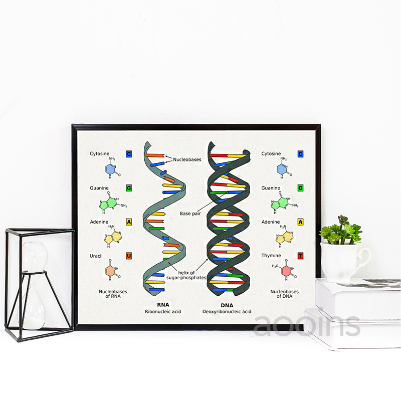DNA Bằng Sáng Chế Tường Nghệ T - đánh giá và giá Star Map Poster